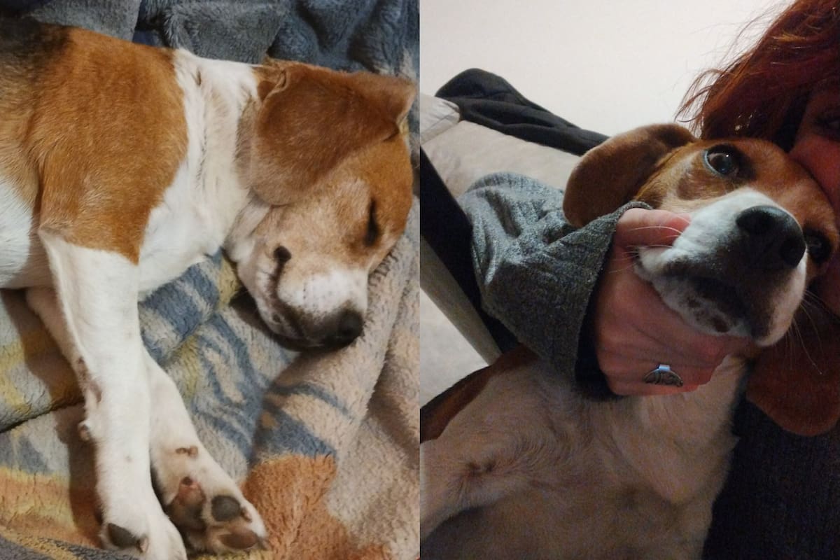 De manera sorprendente, el padre de la joven lo encontró en la comisaría (Foto: Twitter @hyunjinontopp)