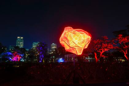 De noche, las rosas que están a la vista son de luces de neón