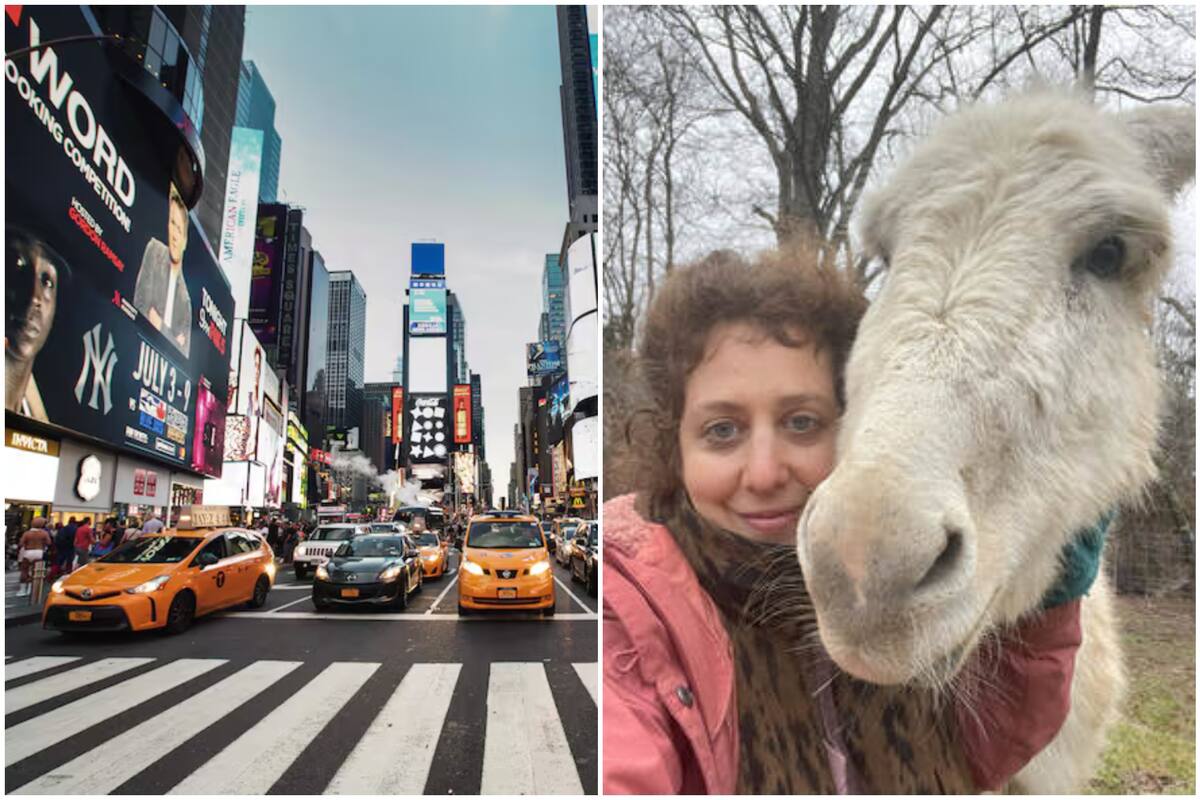 De Nueva York a una granja en Tennessee, un cambio de vida radical