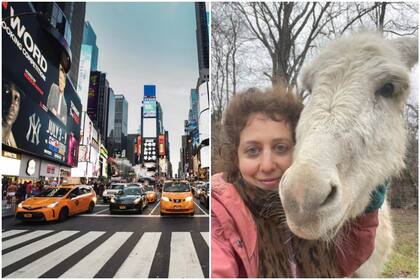 De Nueva York a una granja en Tennessee, un cambio de vida radical