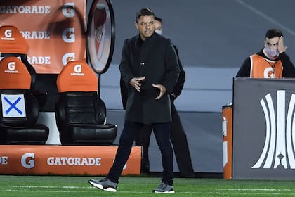 De pie y pegado a la línea de cal, así vivió Gallardo todo el partido
