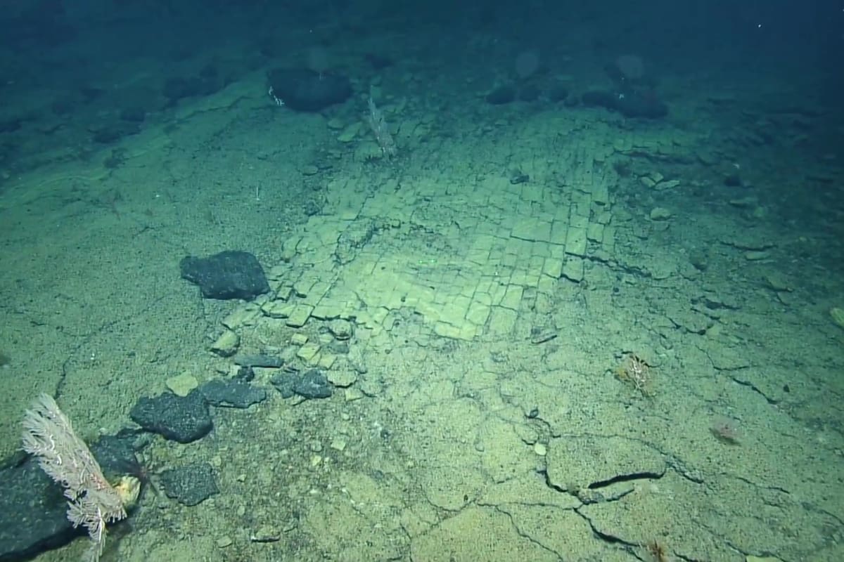 De qué se trata el misterioso hallazgo en el fondo del ccéano Pacífico