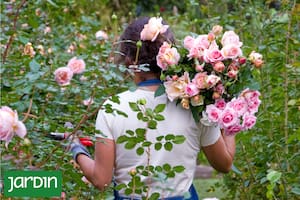 Las flores que ni el paso del tiempo ni la repetición logran agotar
