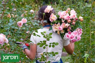 Las flores que ni el paso del tiempo ni la repetición logran agotar