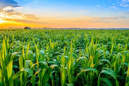 De un lado dicen que la globalización ha permitido reducir la pobreza y multiplicar las posibilidades de desarrollo; del otro, ponen el acento en la desigualdad y en el hasta ahora imparable calentamiento global; la discusión, que admite matices, se centra en la economía, la política, la ecología y