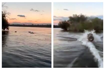 De un momento a otro, el paseo por el lago Victoria, en Kenia, se convirtió en una experiencia aterradora