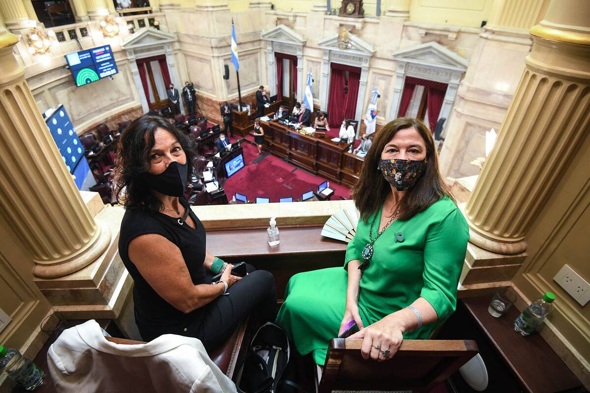 Debate del proyecto de ley sobre la Regulación del Acceso a la Interrupción Voluntaria del Embarazo y la Atención Postaborto