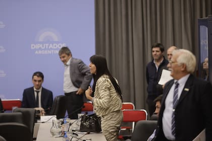 Debate en la comisión de presupuesto en diputados.