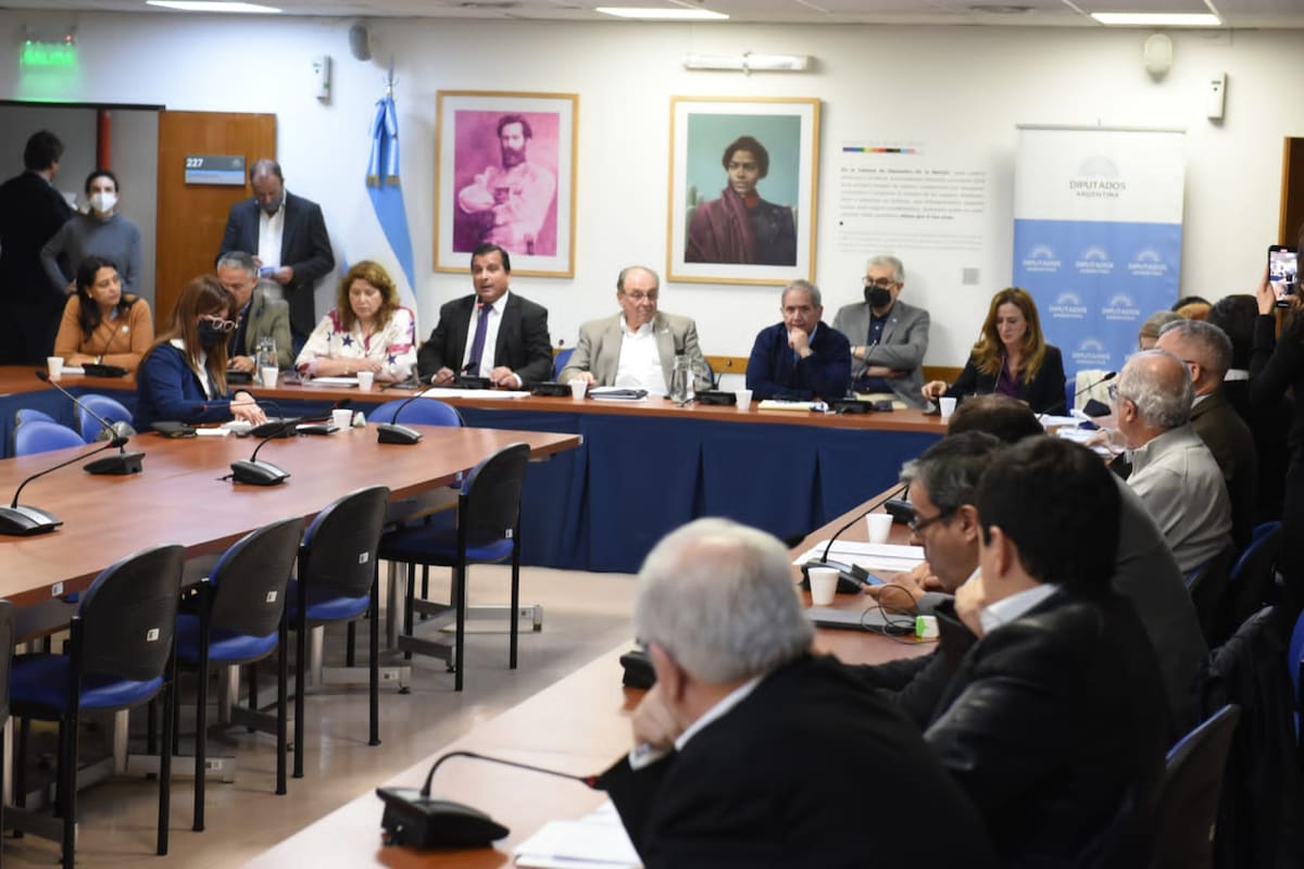 Debate en las comisiones de Industria y Presupuesto y Hacienda sobre el proyecto de "Compre argentino"