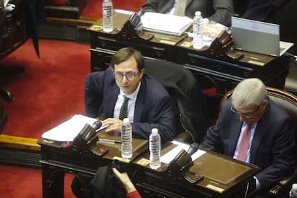 Debate por el aborto, Lousteau, Primer orador Lipovetsky, Contigiani