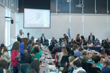 Debate sobre el aborto en Diputados