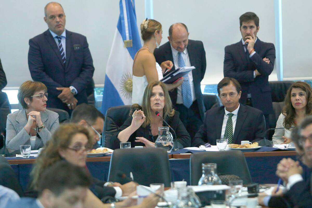 Debate sobre el aborto en Diputados. Carmen Polledo