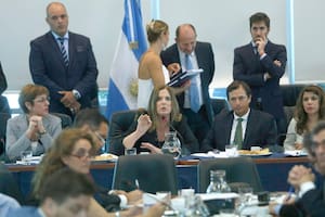 Pfizer. Proponen sacar la palabra “negligencia” de la ley para liberar la compra
