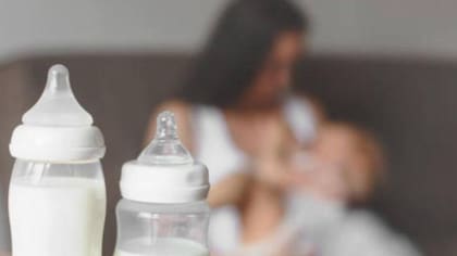 Debe consultar con su médico si puede incluir las mandarinas en su dieta
Foto: iStock.