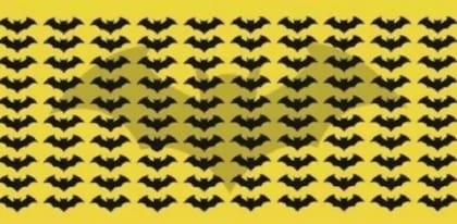 Deberás encontrar el murciélago que no se parece a los otros en solo 10 segundos.