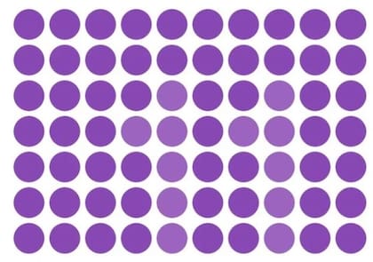Deberás encontrar el número 11 en la imagen.
