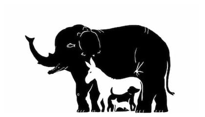 Deberás encontrar los 13 animales en solo 19 segundos.