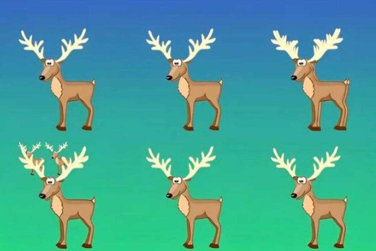 Deberás encontrar los venados ocultos en la imagen. Fuente: Genial Guru