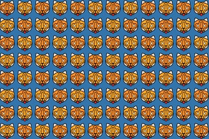 Deberás ponerte a prueba con la imagen del interior de esta nota.