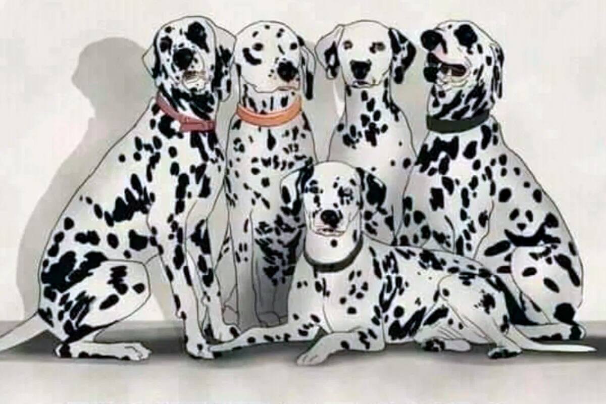 Deberás resolver este desafío en menos de un minuto. Que las manchas no te confundan.