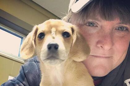 Debido a la gran cantidad de solicitudes que no pueden evaluar de forma adecuada, la dueña del refugio de animales anunció que se quedará a cargo del cachorro