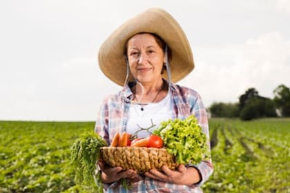 Debido a la prevalencia de diferentes sectores, hay entidades donde es más factible la contratación de extranjeros