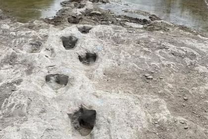 Decenas de huellas de dinosaurio fueron encontradas en un parque estatal de EE.UU.