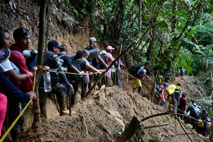 Decenas de Migrantes, la mayoría de ellos venezolanos, caminan en la región del Darién de Colombia rumbo a Panamá. (AP Foto/Fernando Vergara, Archivo)