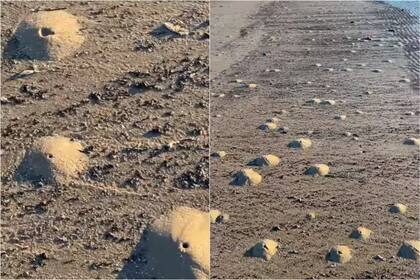 Decenas de mini volcanes aparecieron por la playa de Quintana Beach County Park, en Texas