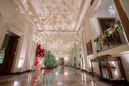 Más de 300 voluntarios dedicaron una semana a instalar 83 árboles de Navidad, 28.000 adornos y más de 165 mil luces