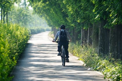 Dedicar tiempo al ejercicio diario podría fortalecer tu memoria, en especial, andar en bicicleta