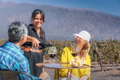 Degustaciones en las bodegas y viñedos salteños