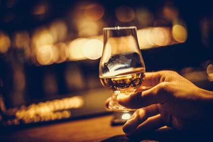Dejar el alcohol protege al organismo de daño hepático y afecciones cardíacas, entre otros beneficios