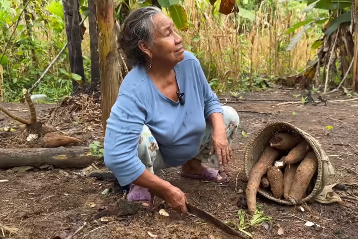 Dejaron su vida en la ciudad por vivir en la selva y ahora cultivan sus propios alimentos