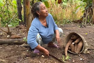 Rosa y Sixto dejaron todo por vivir en la selva: “Acá uno no se pelea con la familia"