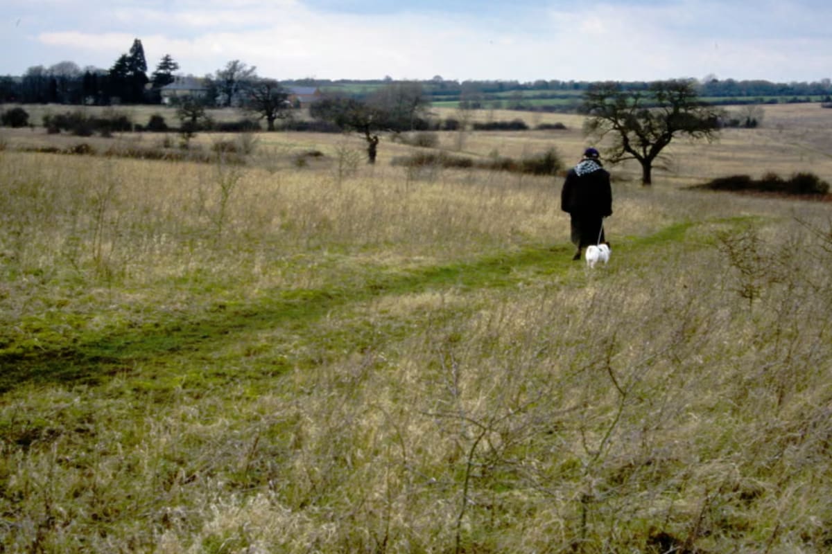 Dejó de cultivar su campo por casi 40 años y ahora es una reserva de vida natural en el medio de Inglaterra