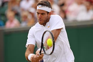 Del Potro, cada vez más alto: lo que logró y el desafío ante Federer y Nadal