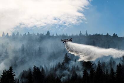 Del combate del fuego participan seis medios aéreos que operan a requerimiento del personal en la línea
