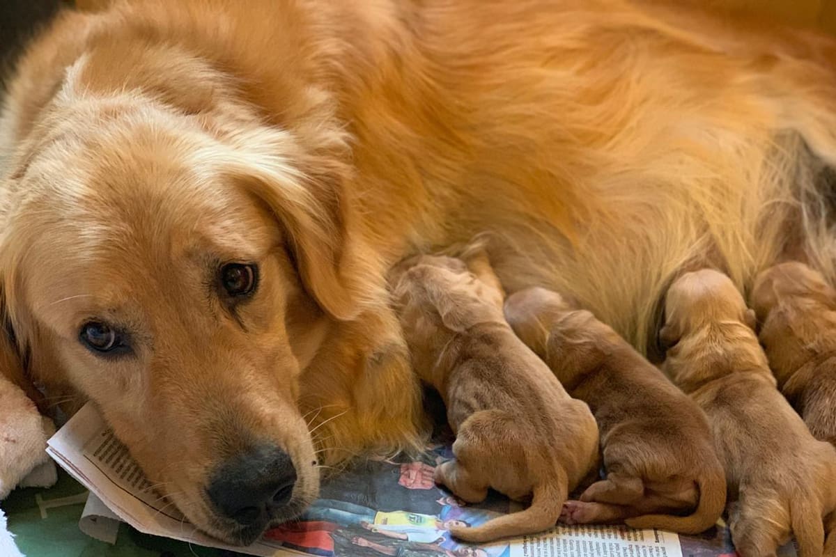 Del grupo de mamis a ser compartida por celebridades, una publicación enloqueció a la cronista