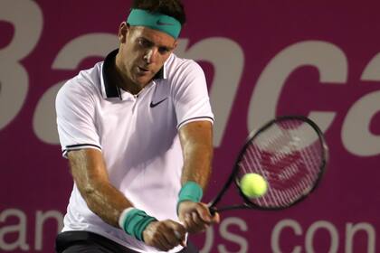 Del Potro continuará la gira sobre cemento en Toronto