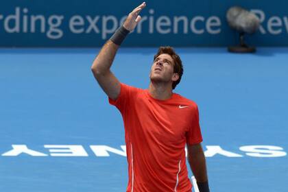 Del Potro defenderá su título en Sydney