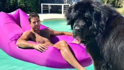 Del Potro, en su casa de Tandil, disfruta la pileta con su perro, César