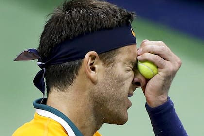 Del Potro deberá arrancar de nuevo, una vez más