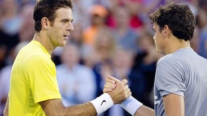 Del potro, Milos Raonic