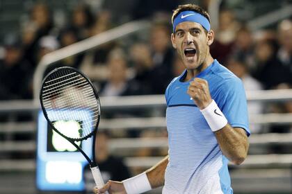 Del Potro sigue avanzando en Delray Beach