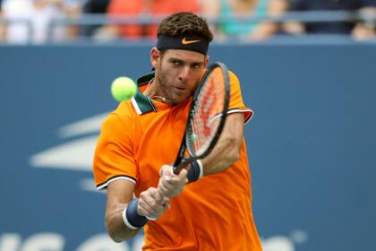 Del Potro tendrá que sortear al número 1 para llegar al partido decisivo