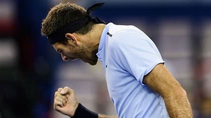 Del Potro tuvo que esforzarse para vencer a Verdasco