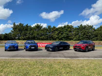 Del Toyota Mirai (a hidrógeno, no se vende en Argentina) al Corolla Cross híbrido, los modelos electrificados de la firma nipona