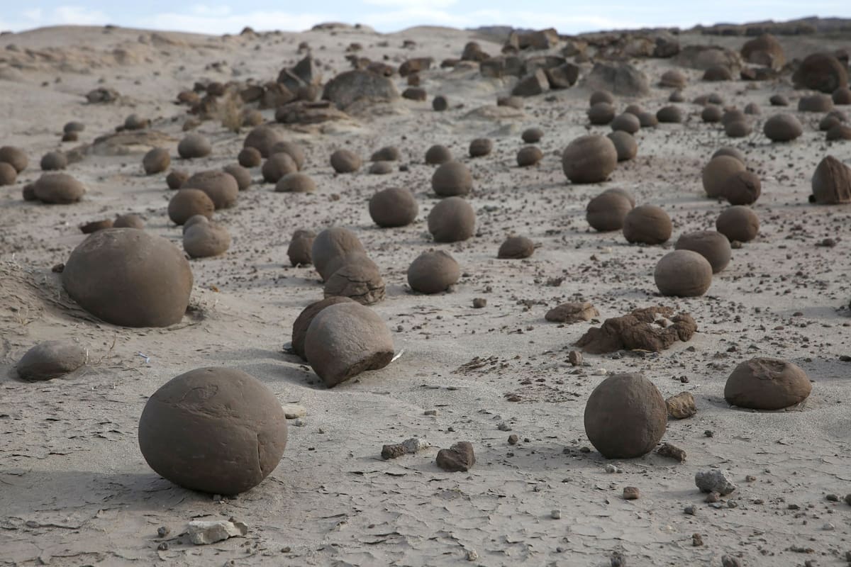 Del Triásico al Pleistoceno, un tour al pasado por parques nacionales y otros sitios paleontológicos