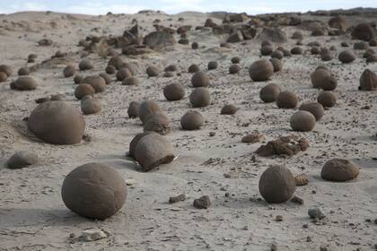 Del Triásico al Pleistoceno, un tour al pasado por parques nacionales y otros sitios paleontológicos